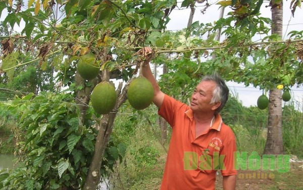 http://www.baodaknong.org.vn/database/image/2017/11/07/2642-KT-1.jpg